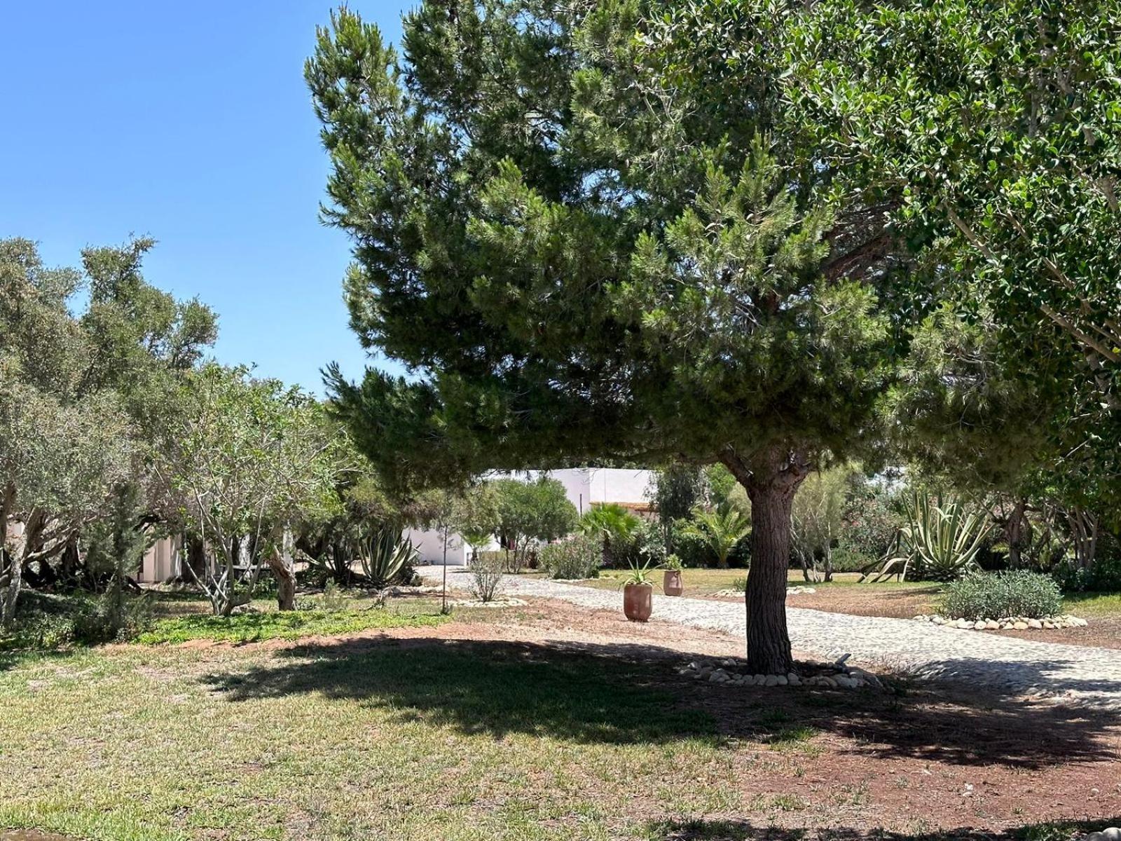 Domaine De L'Arganeraie Hotel Ghazoua Exterior photo
